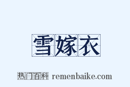 雪嫁衣是什么意思的图片